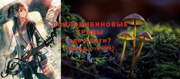 прущая мука Абаза