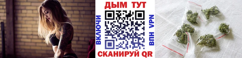где можно купить   Южа  Марихуана план 
